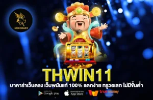 Thwin11